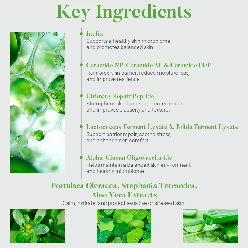 List of key skincare ingredients with descriptions and small images of plant extracts.